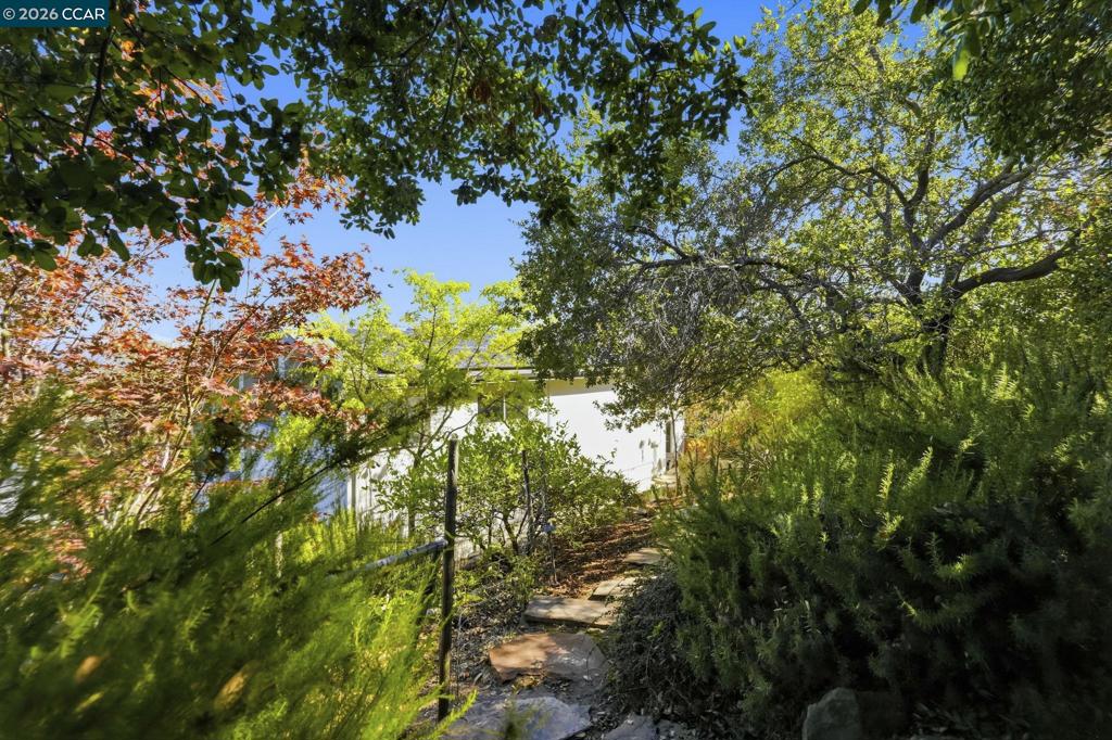 20 Surmont Ct Property Photo 84