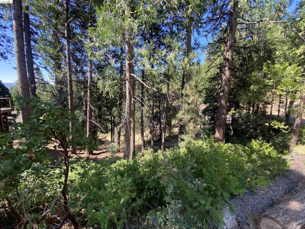 280 No Address - Vacant Lot Property Photo 1
