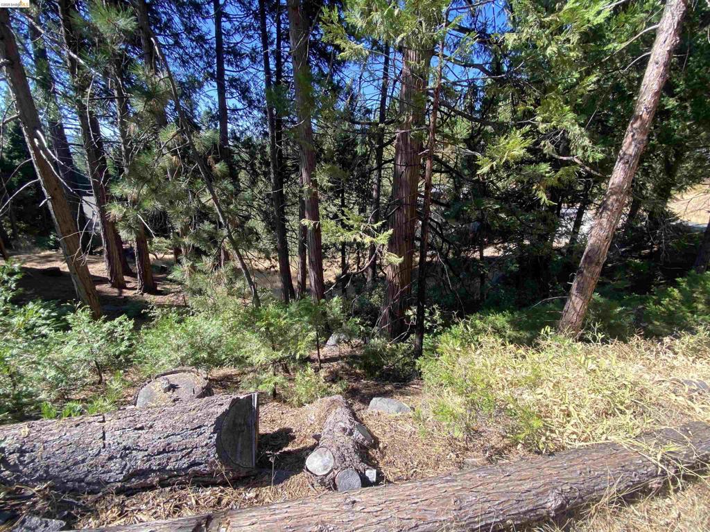 280 No Address - Vacant Lot Property Photo 2
