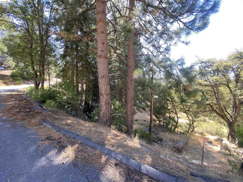 280 No Address - Vacant Lot Property Photo 3