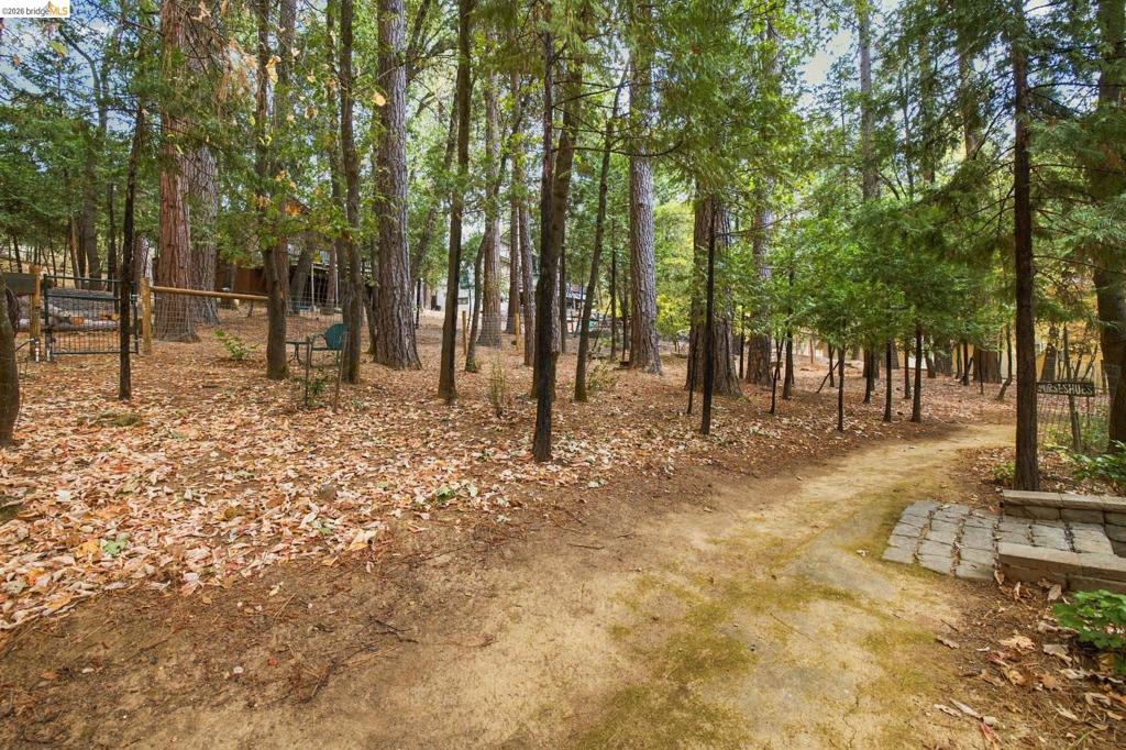 17874 Lark Dr Property Photo 41
