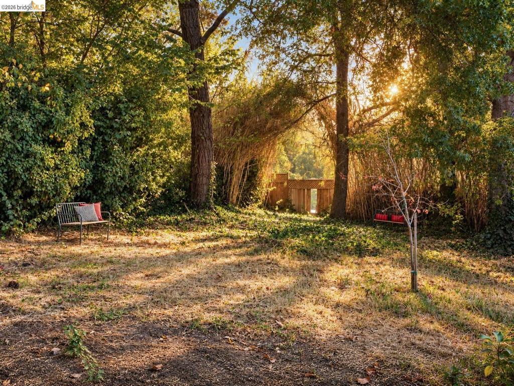 3938 Maybelle Property Photo 33