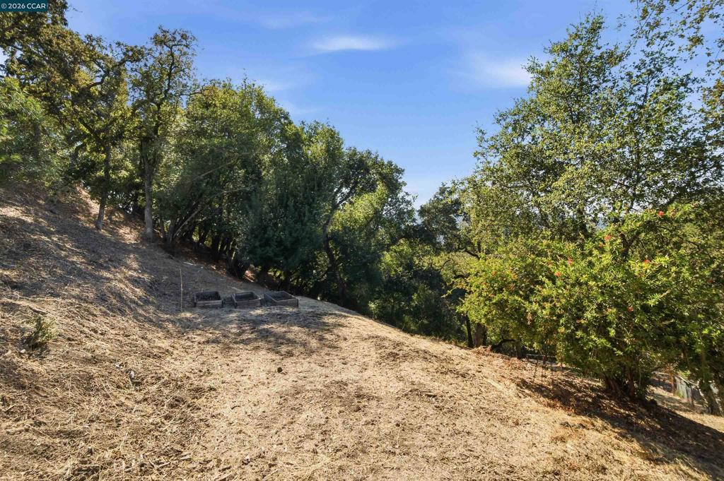48 Via Floreado Property Photo 49