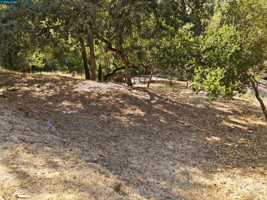 48 Via Floreado Property Photo 50