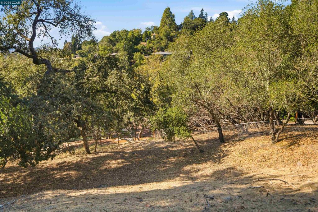 48 Via Floreado Property Photo 51