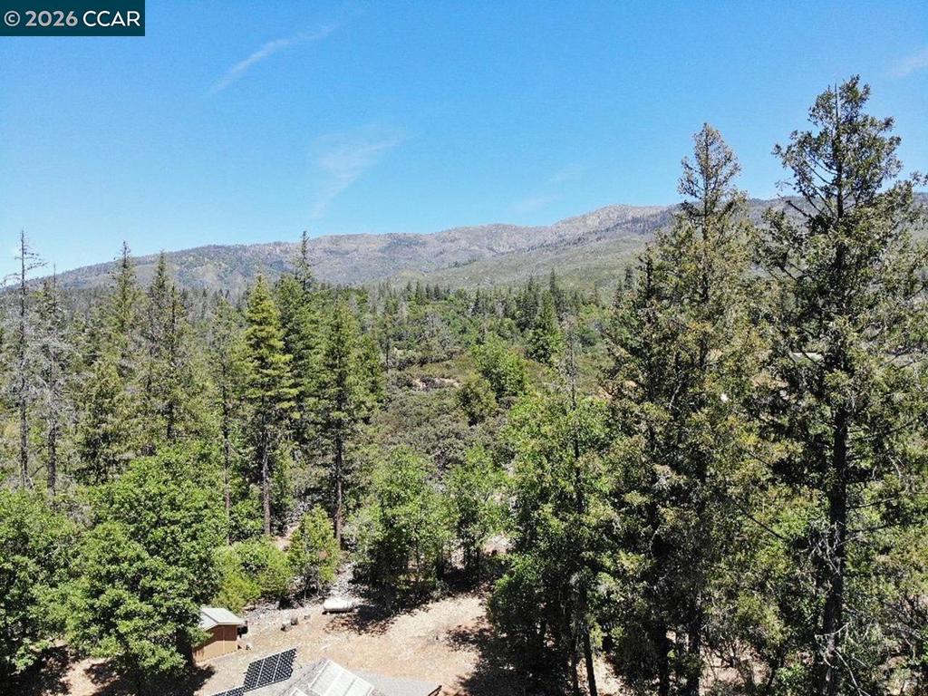 31192 Salmon Creek Rd Property Photo 4