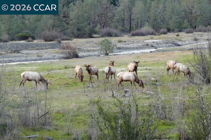 31192 Salmon Creek Rd Property Photo 7