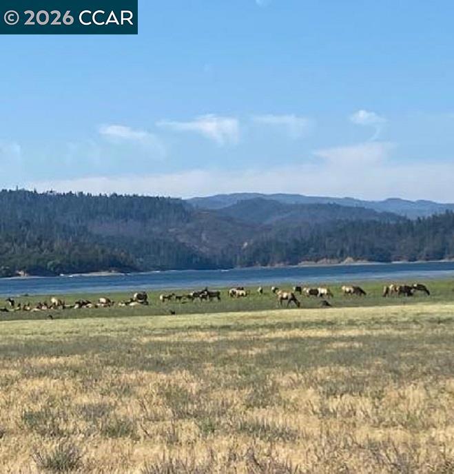 31192 Salmon Creek Rd Property Photo 11