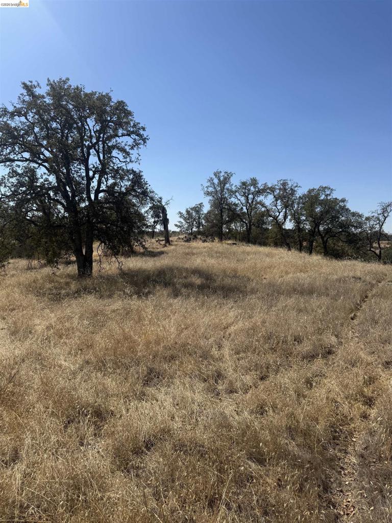 2088 Navarro Property Photo 1
