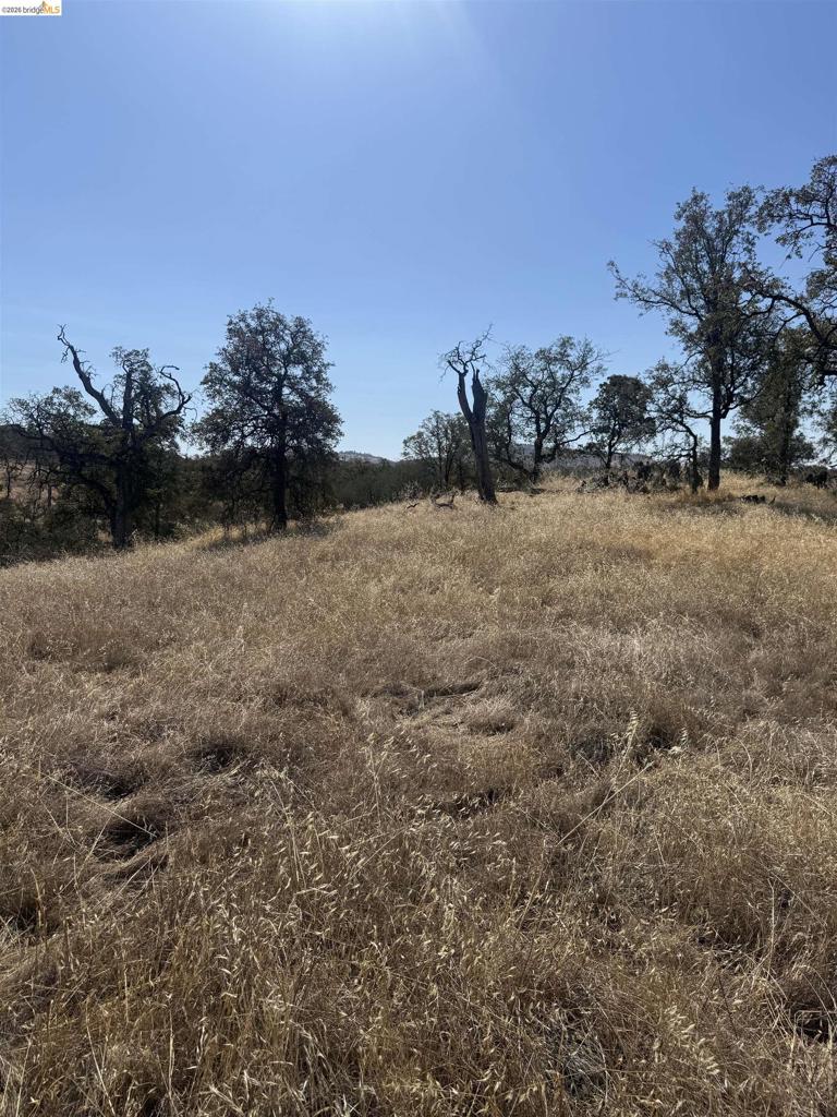 2088 Navarro Property Photo 3