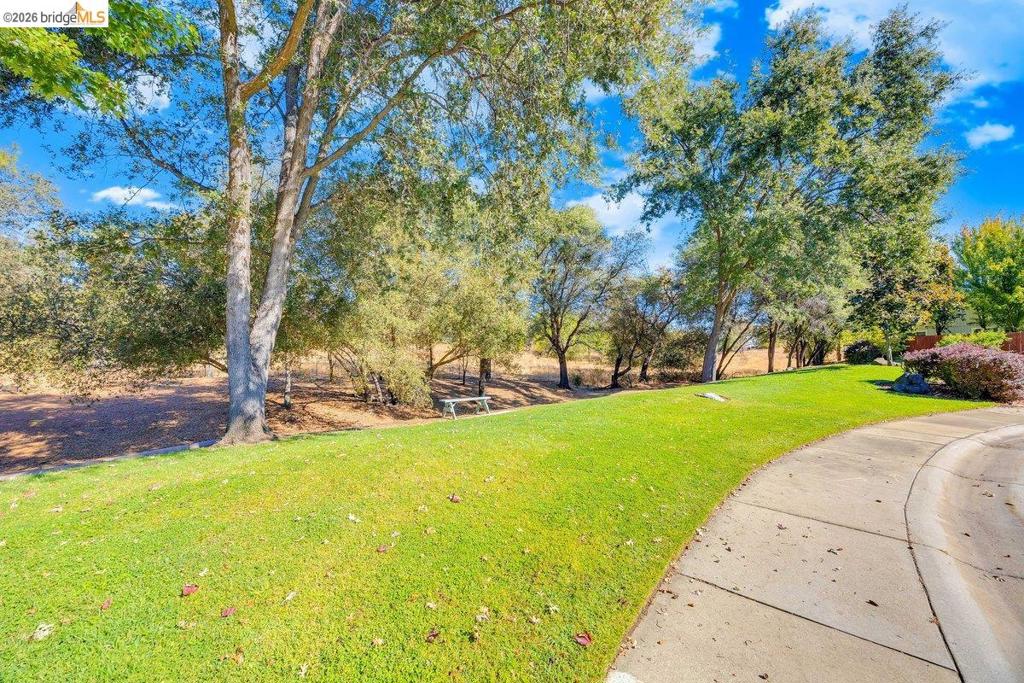981 Country Ln Property Photo 34