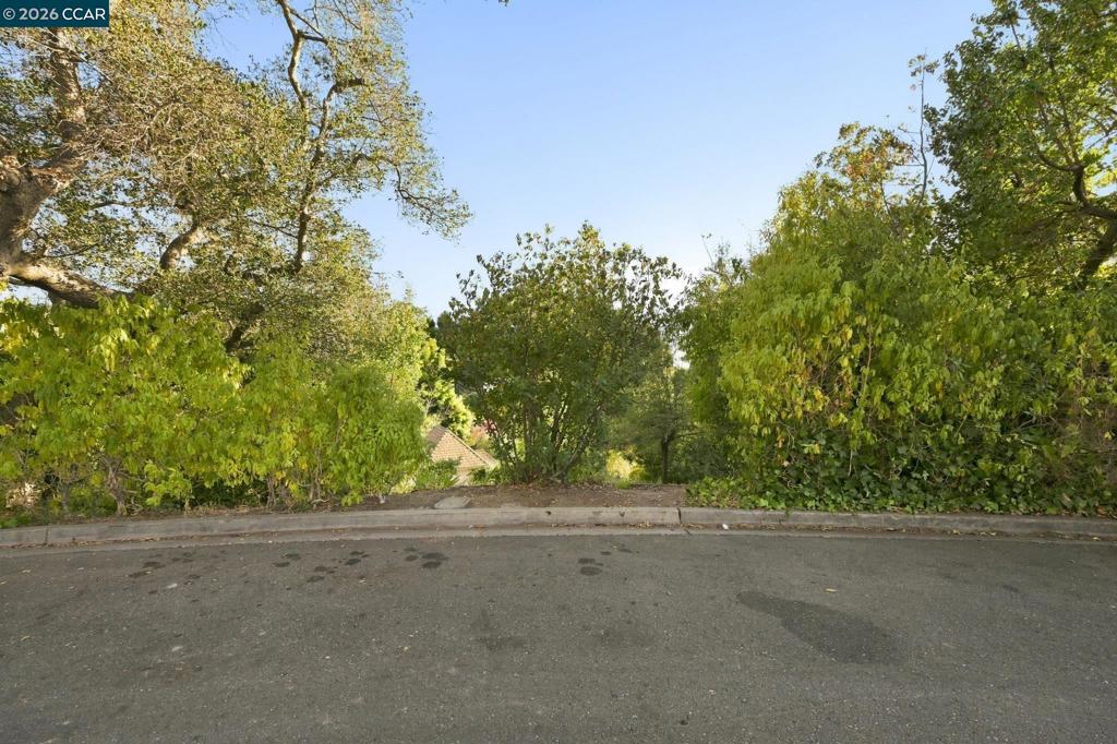 Hazel Ln Property Photo 13