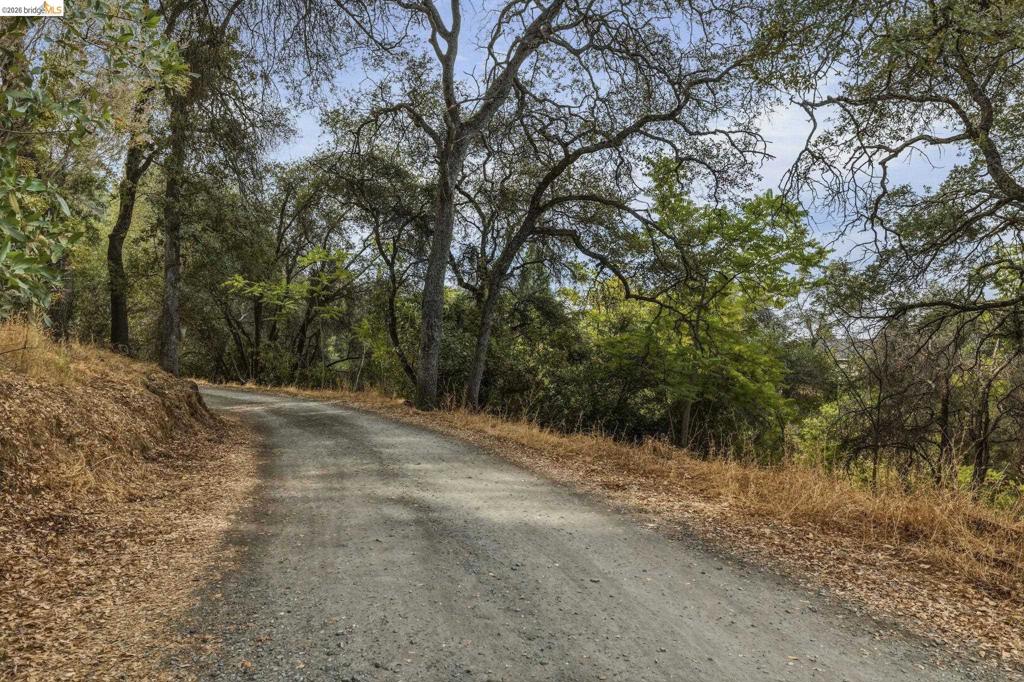 9774 Mormon Creek Rd. Property Photo 3