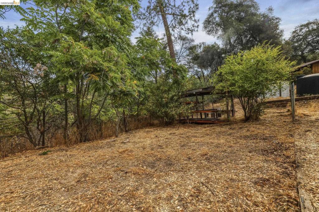9774 Mormon Creek Rd. Property Photo 5