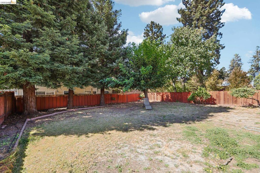 3937 Bayo St Property Photo 34