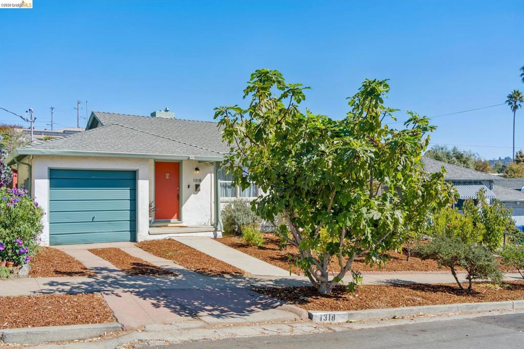 1318 Mariposa St Property Photo 3