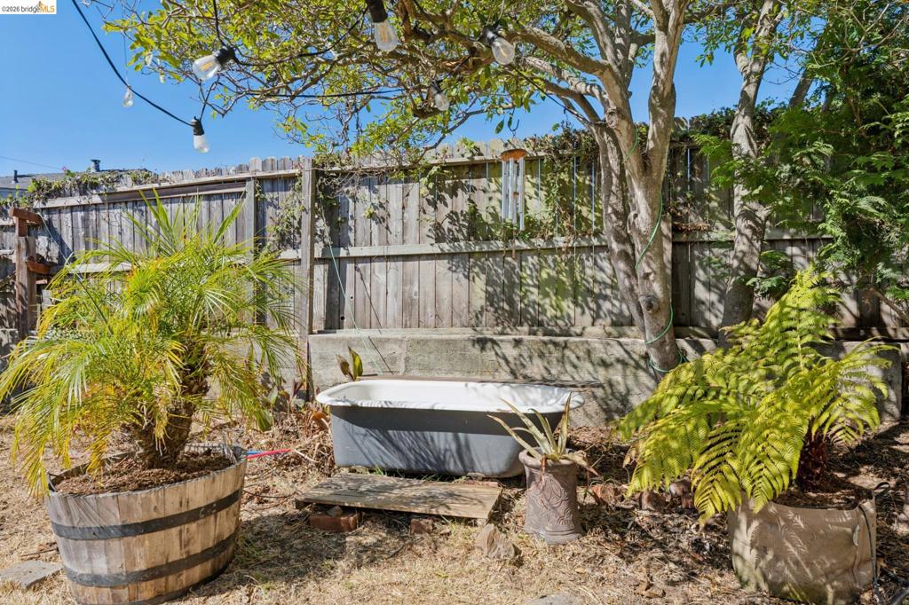 1318 Mariposa St Property Photo 53