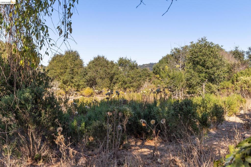 4685 Upland Dr Property Photo 51