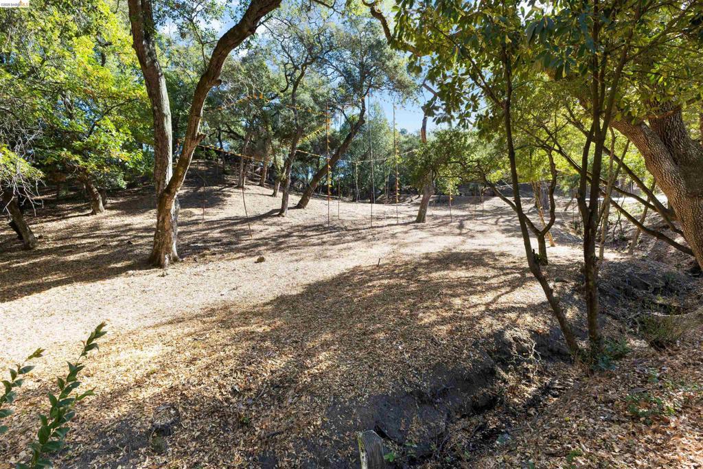 822 Acalanes Rd Property Photo 7