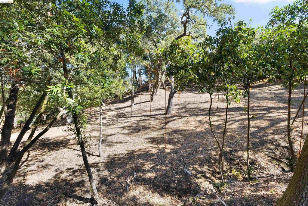822 Acalanes Rd Property Photo 8