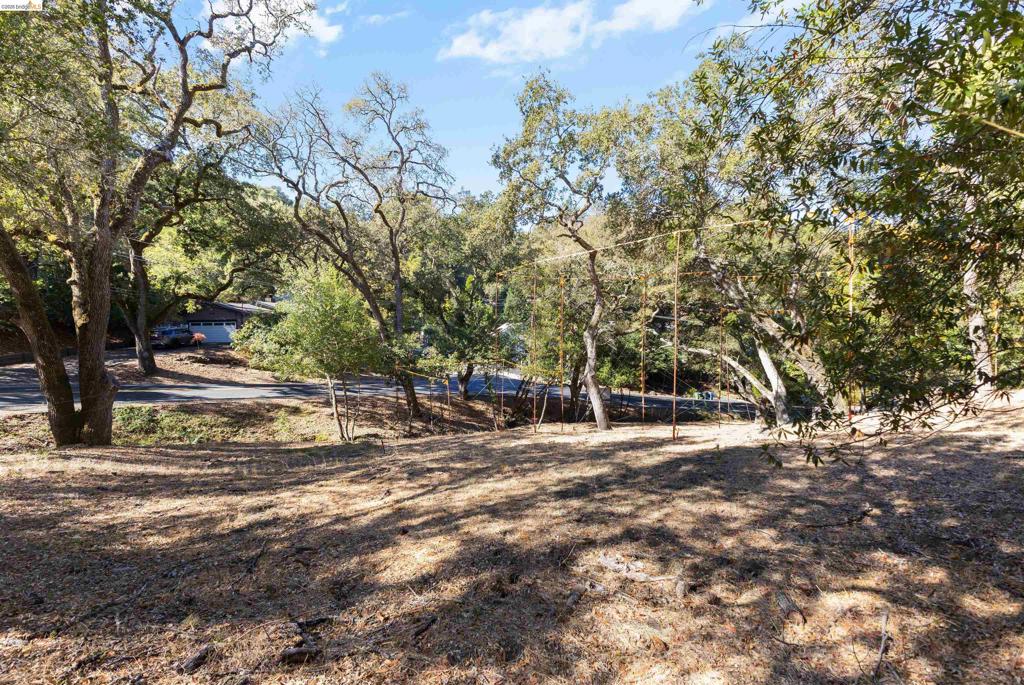 822 Acalanes Rd Property Photo 9
