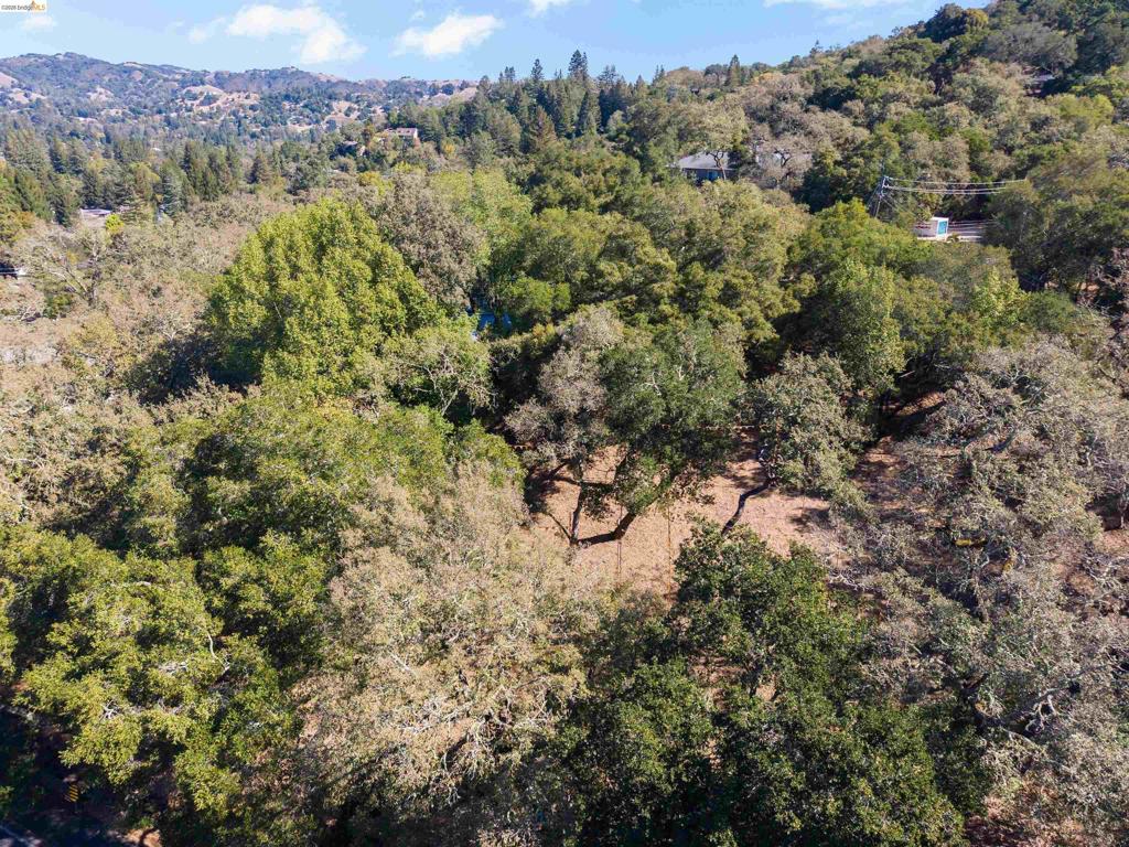 822 Acalanes Rd Property Photo 12