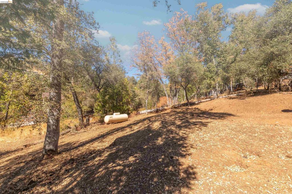 20925 Caylor Dr Property Photo 50