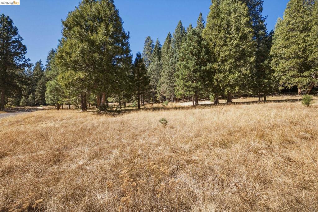 28130 Old Strawberry Road Property Photo 3