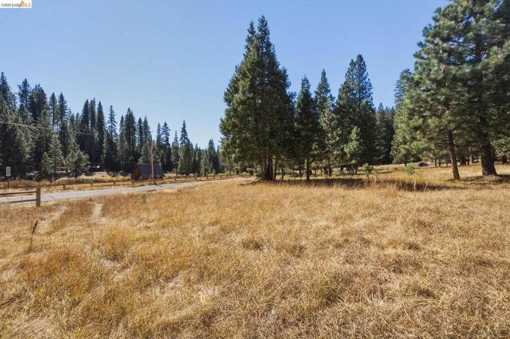 28130 Old Strawberry Road Property Photo 4