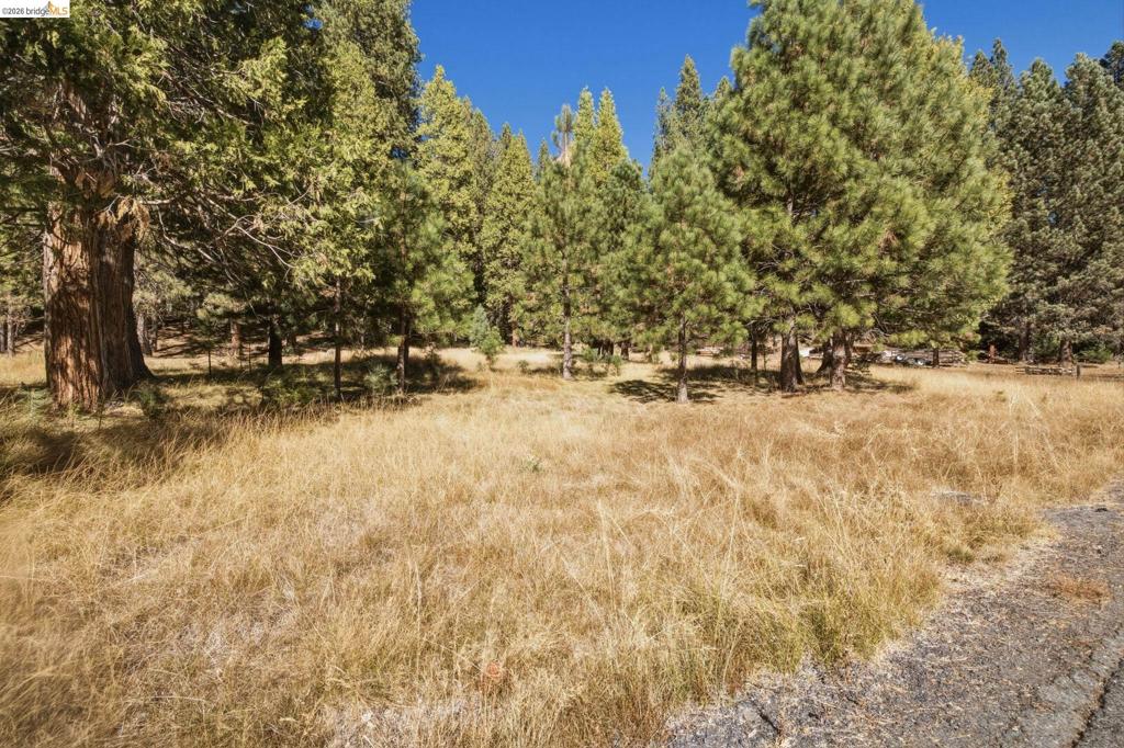 28130 Old Strawberry Road Property Photo 5