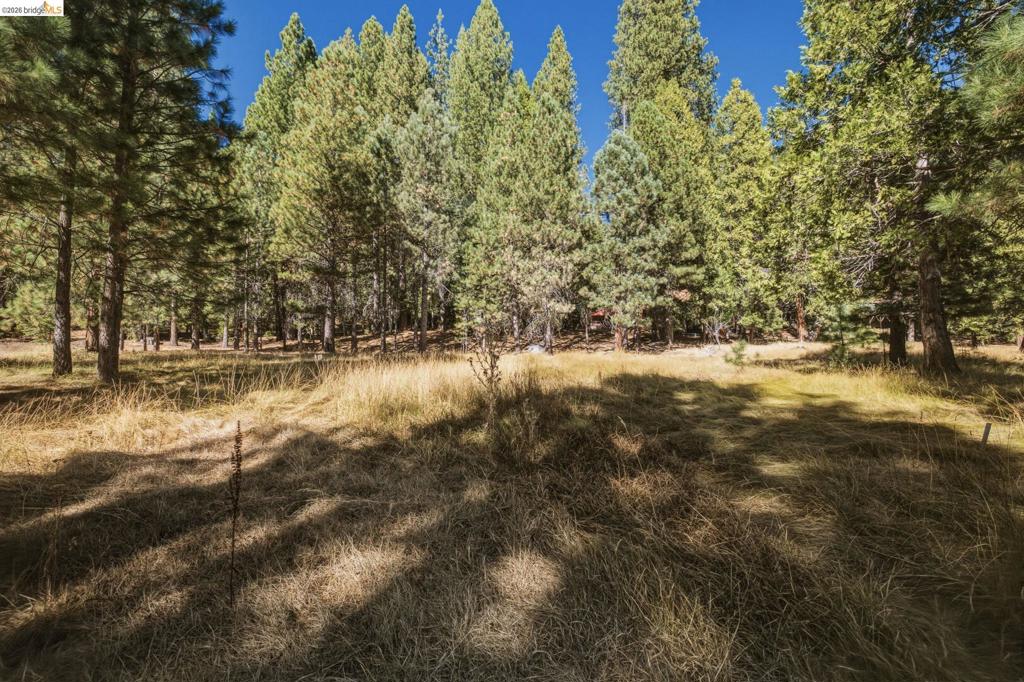 28130 Old Strawberry Road Property Photo 6