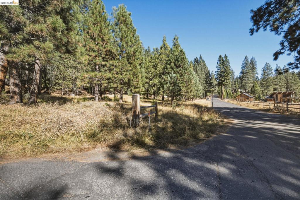 28130 Old Strawberry Road Property Photo 7
