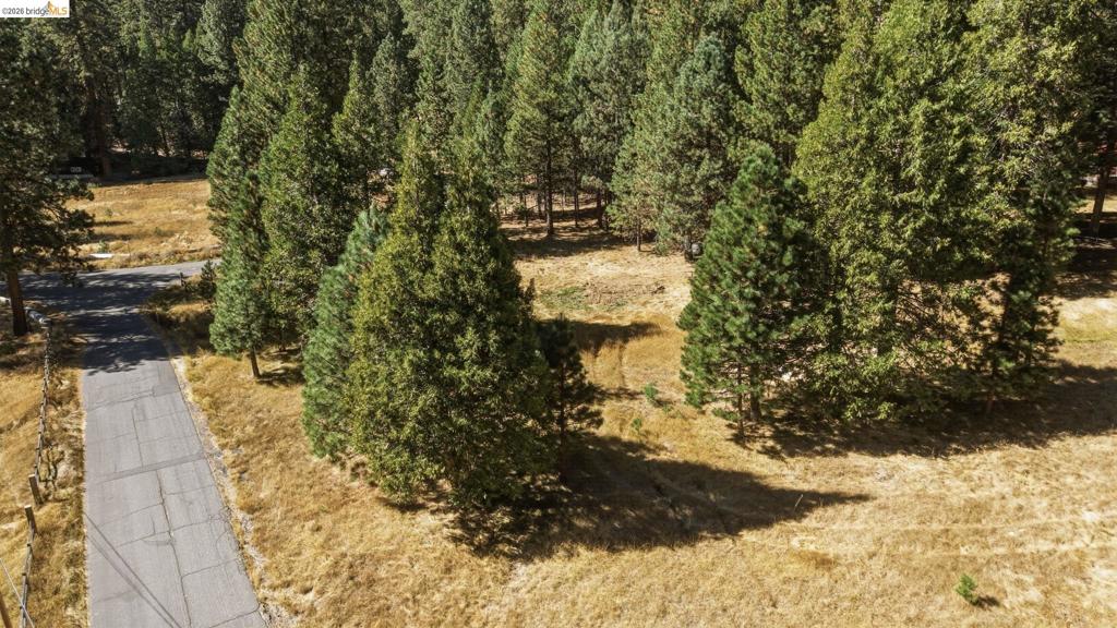 28130 Old Strawberry Road Property Photo 8