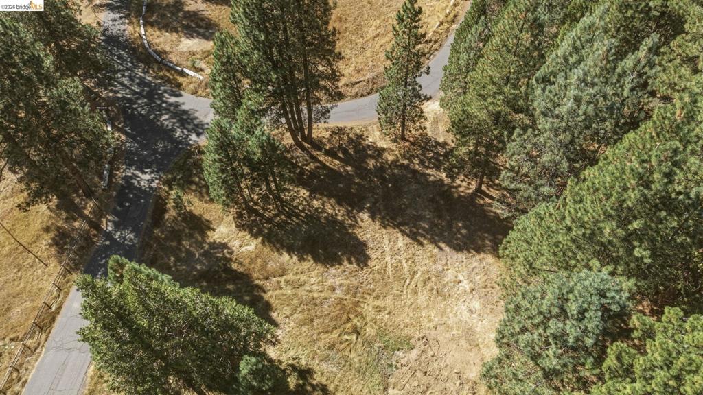 28130 Old Strawberry Road Property Photo 9
