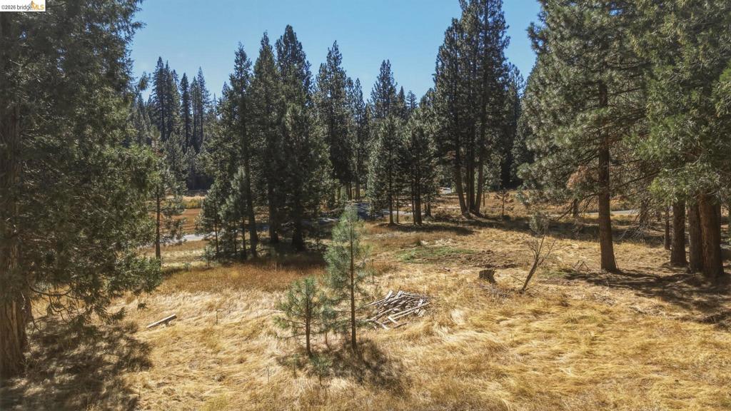 28130 Old Strawberry Road Property Photo 19