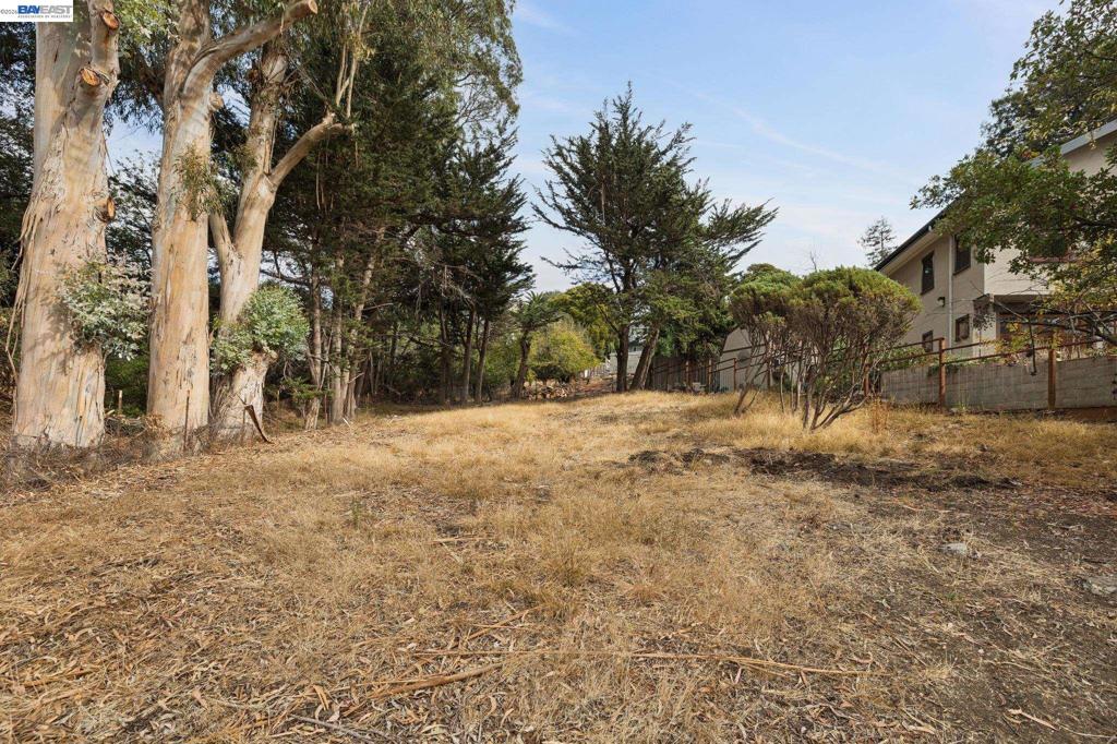 950 Avis Dr Property Photo 3