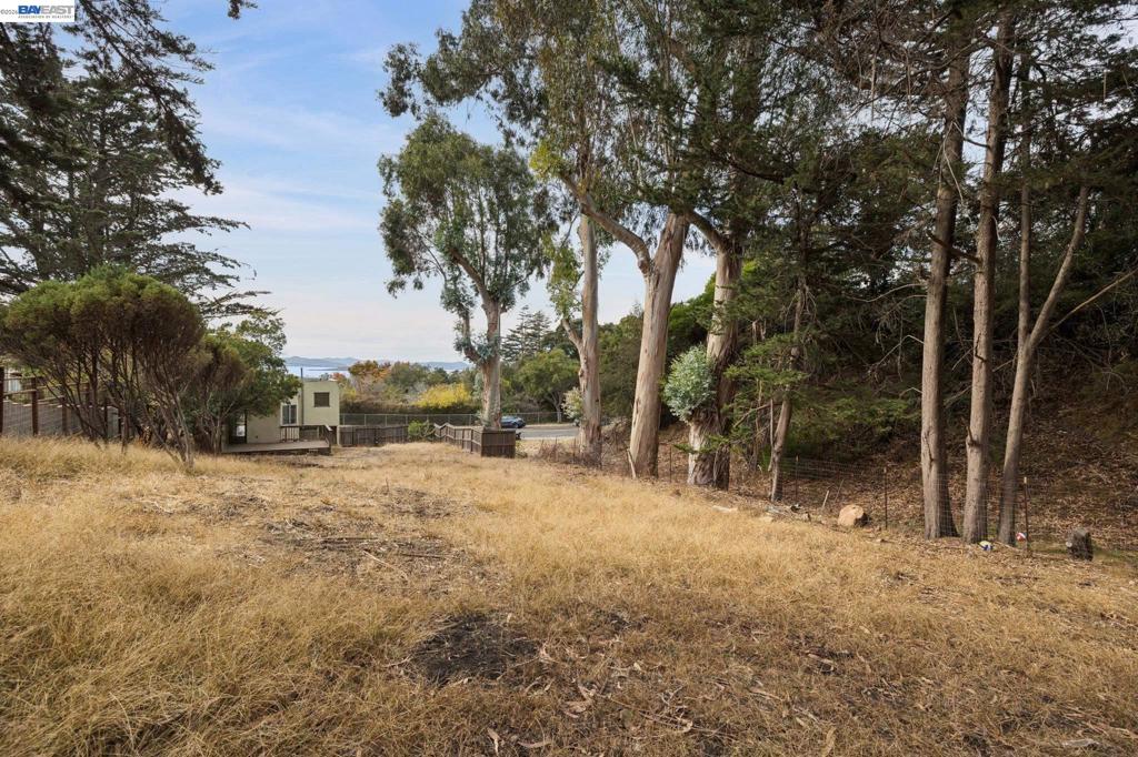 950 Avis Dr Property Photo 6
