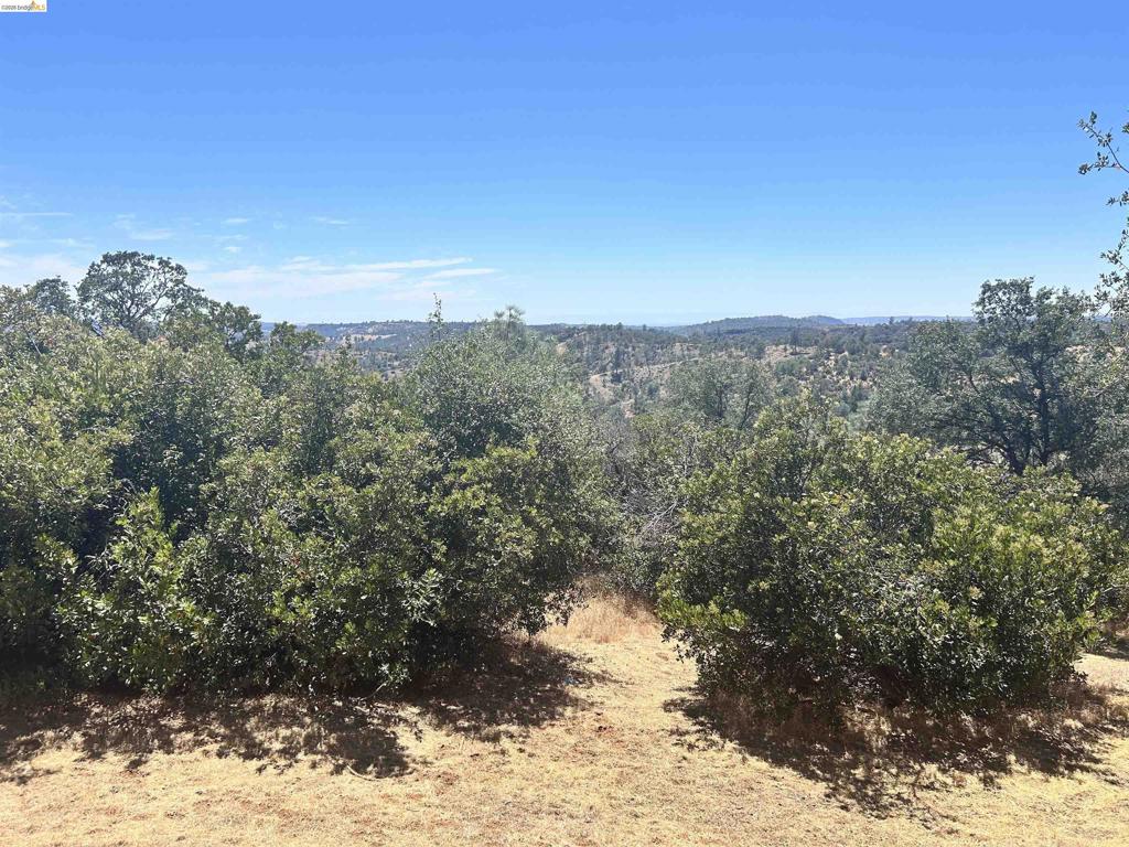 19871 S Panorama Property Photo 27