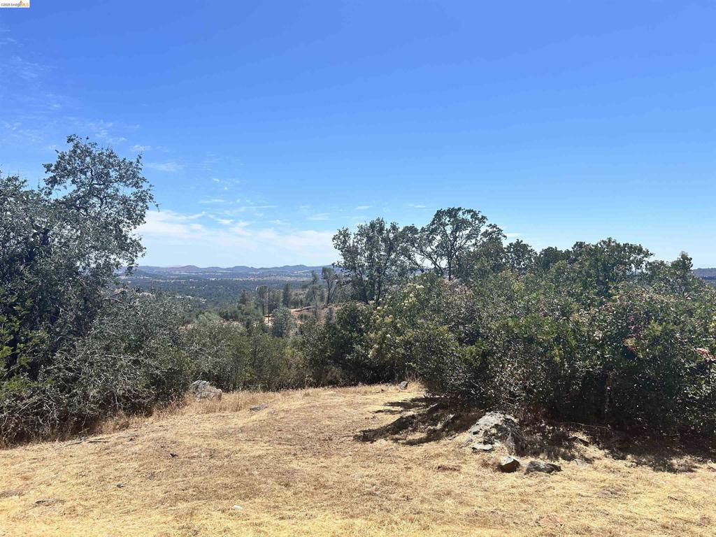19871 S Panorama Property Photo 28
