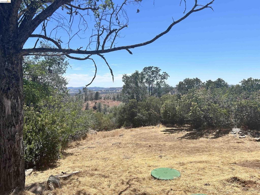 19871 S Panorama Property Photo 29