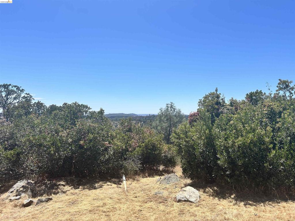 19871 S Panorama Property Photo 30
