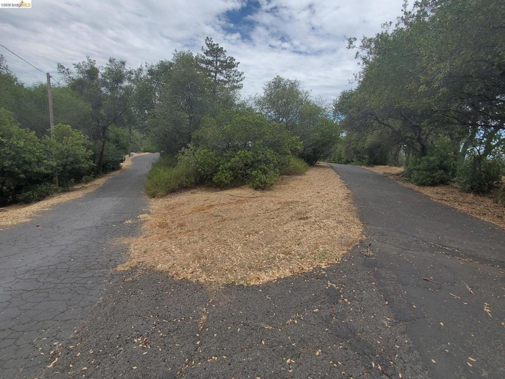 19871 S Panorama Property Photo 39