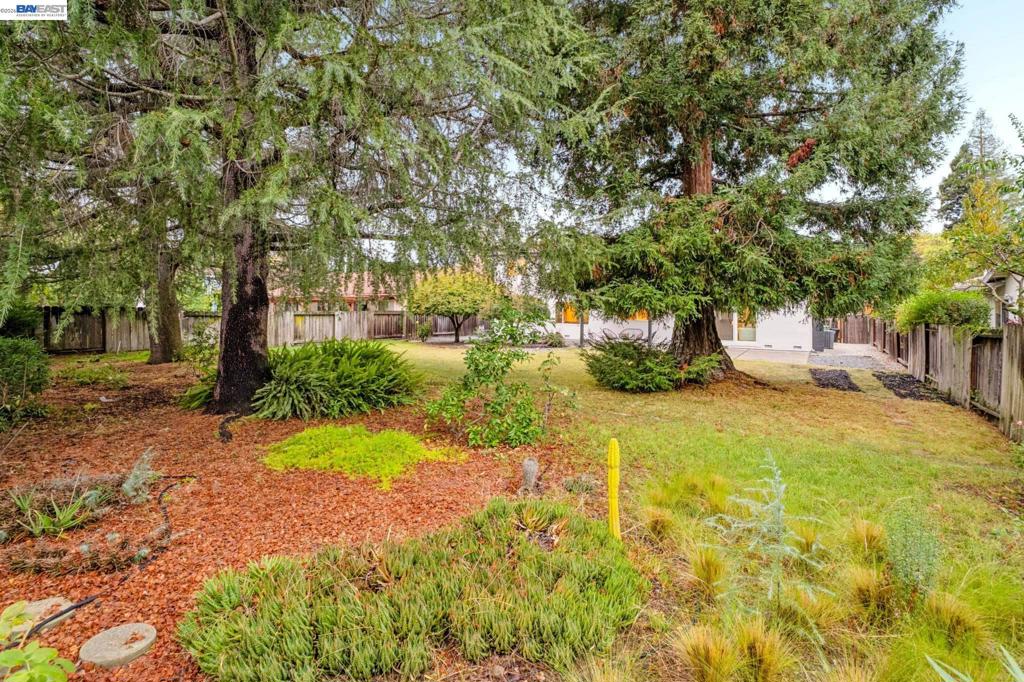 2107 Asenath Ct Property Photo 63