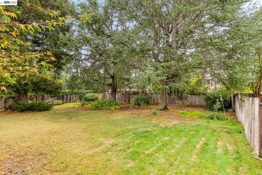2107 Asenath Ct Property Photo 69