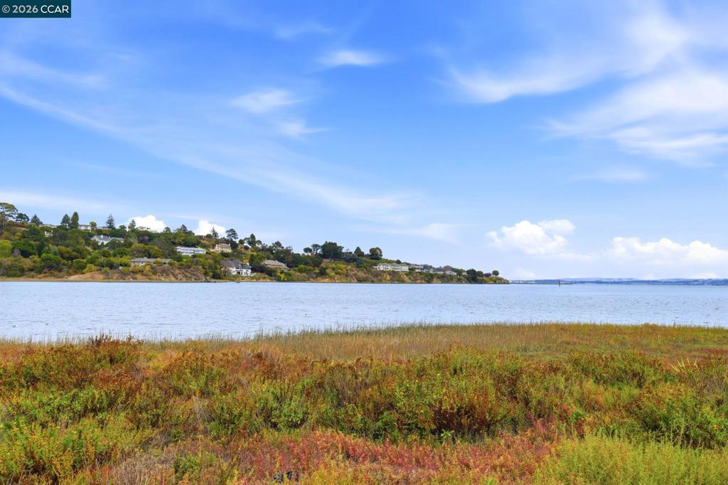 14 Hyannis Cove Property Photo 38