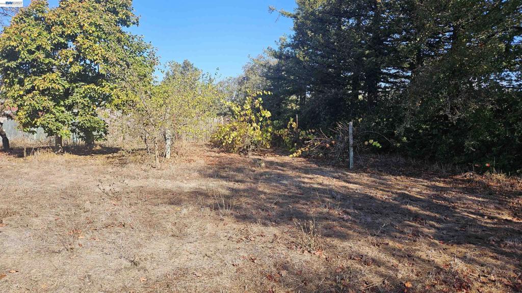 4427 Taylor Ave Property Photo 7