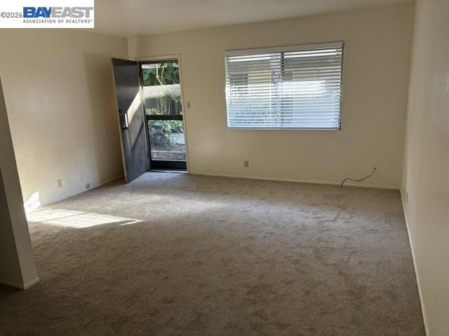 37271 Cedar Blvd Property Photo 7