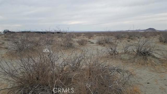 0 Powerline Road Property Photo 4