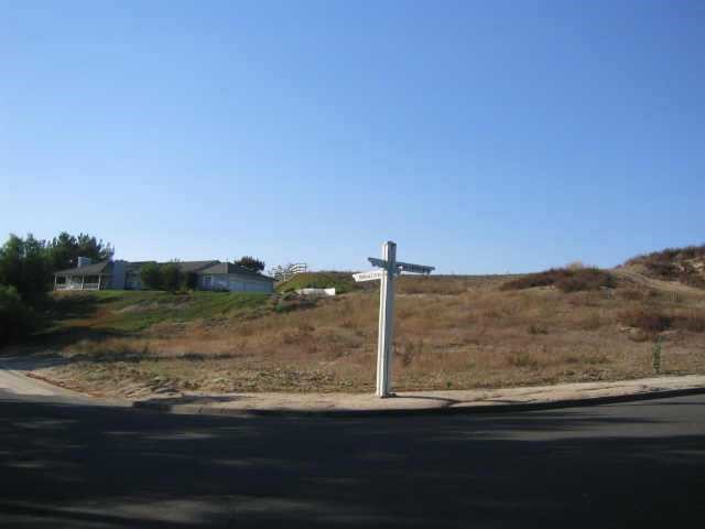 0 Avenida Estrada Property Photo 1