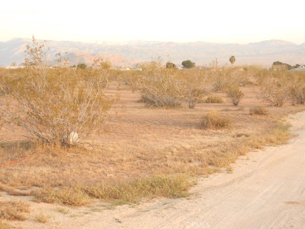 0 Ocotilla Road Property Photo 7